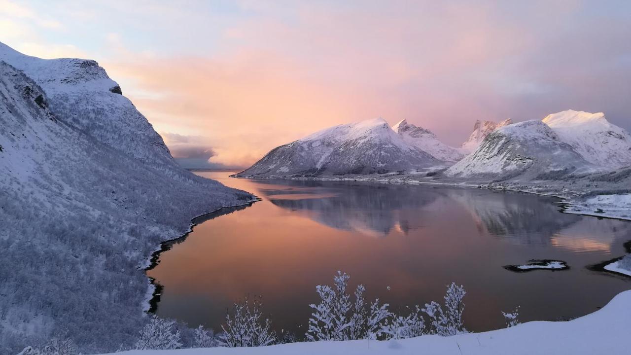 Готель Hamn I Senja Екстер'єр фото