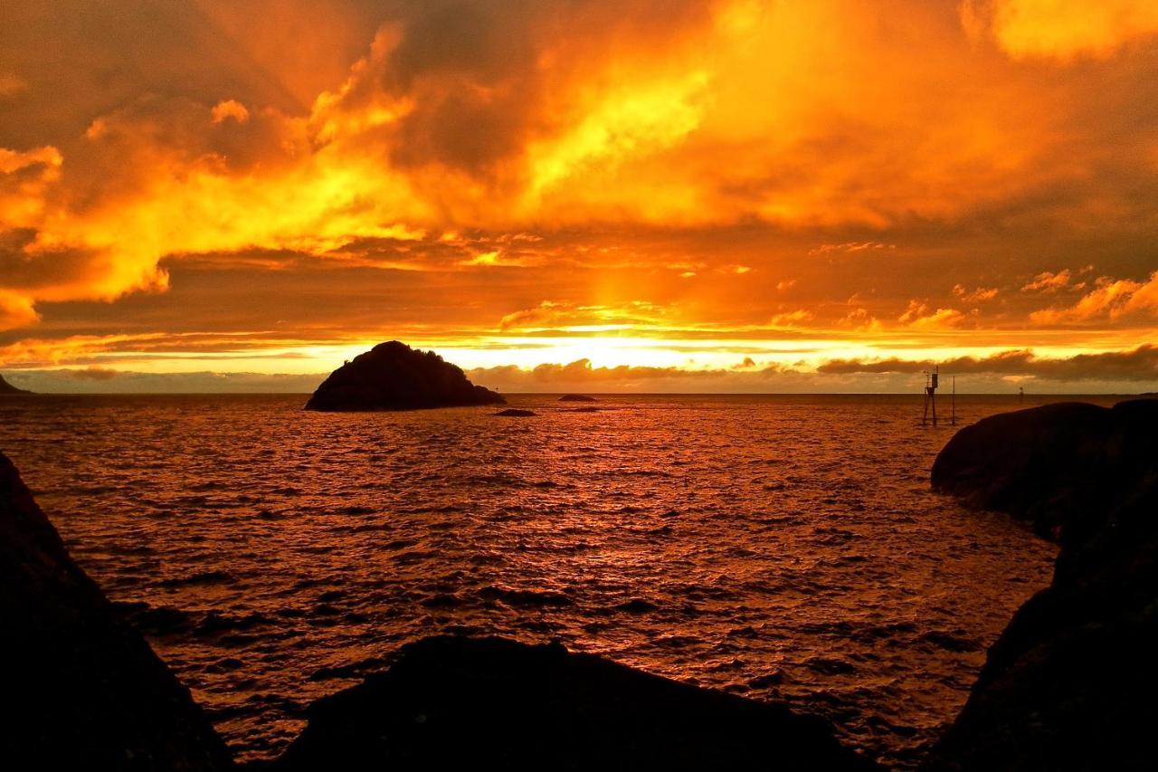 Готель Hamn I Senja Екстер'єр фото